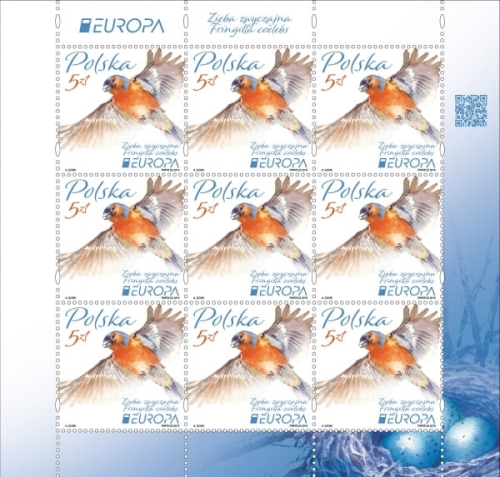 ARK-.EUROPA 2019-4954