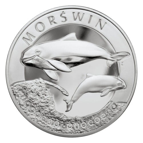 morswin2.jpg