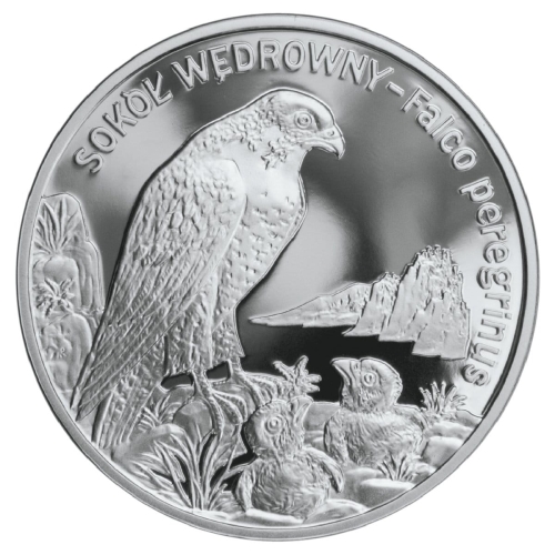 20 zł - Sokół wędrowny - 2008r
