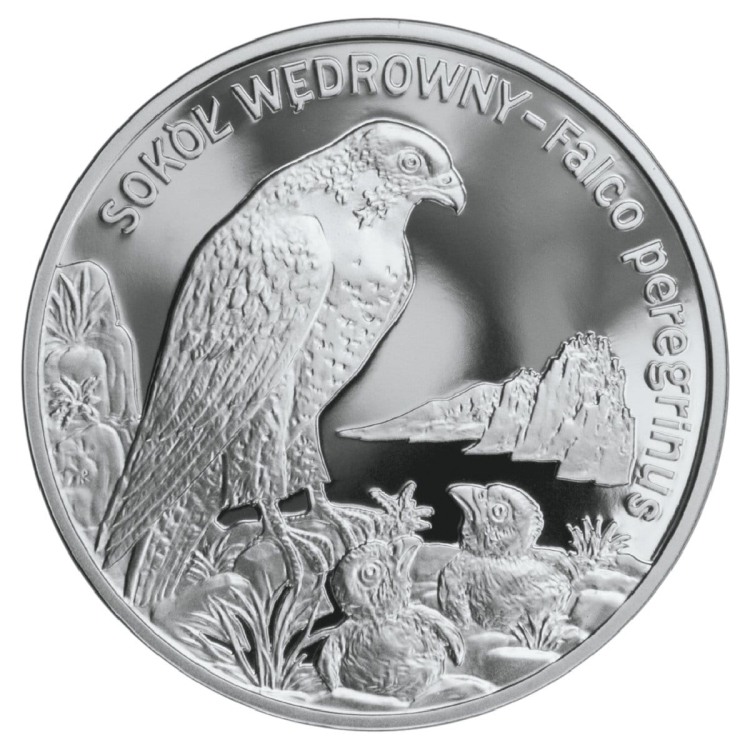 20 zł - Sokół wędrowny - 2008r