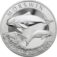 ML MORŚWIN GTU_08